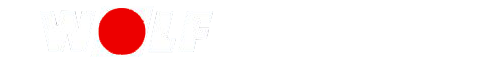 德国沃乐夫-能效专家  德国制造123